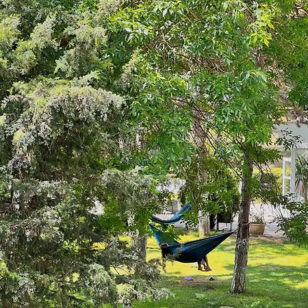 Ξενοδοχείο Favorit Venus