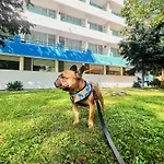 Hotel Favorit Venus